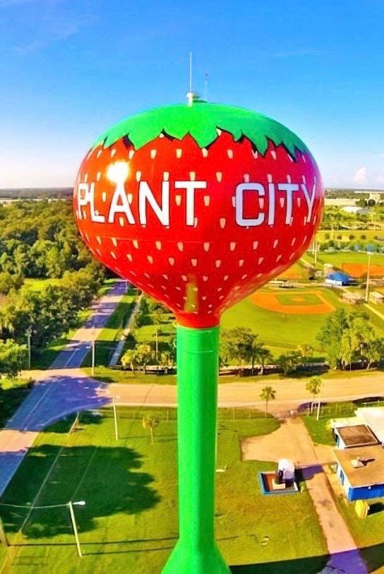 Plant City, Florida Strawberry Water Tower Model Replica